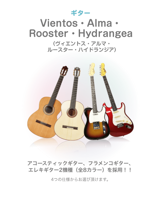 ギター Vientos・Alma・Rooster・Hydrangea (ビエントス・アルマ・ルースター・ハイドランジア)アコースティックギター、フラメンコギター、エレキギター2機種(全8カラー)を採用!!4つの仕様からお選び頂けます。