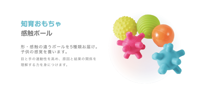 知育おもちゃ 感触ボール 形・感触の違うボールを5種類お届け。子供の感覚を養います。目と手の連動性を高め、原因と結果の関係を 理解する力を身につけます。