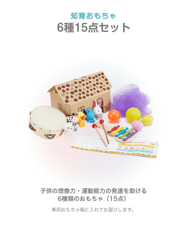 知育おもちゃ 6種15点セット 子供の想像力・運動能力の発達を助ける 6種類のおもちゃ(15点) 専用おもちゃ箱に入れてお届けします。