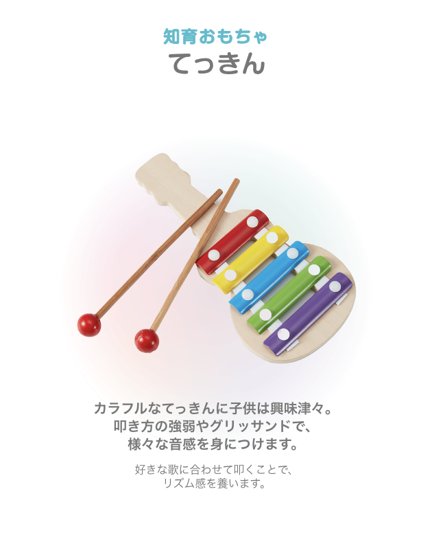 知育おもちゃ てっきん カラフルなてっきんに子供は興味津々。叩き方の強弱やグリッサンドで、様々な音感を身につけます。好きな歌に合わせて叩くことで、リズム感を養います。