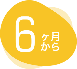 6ヶ月から