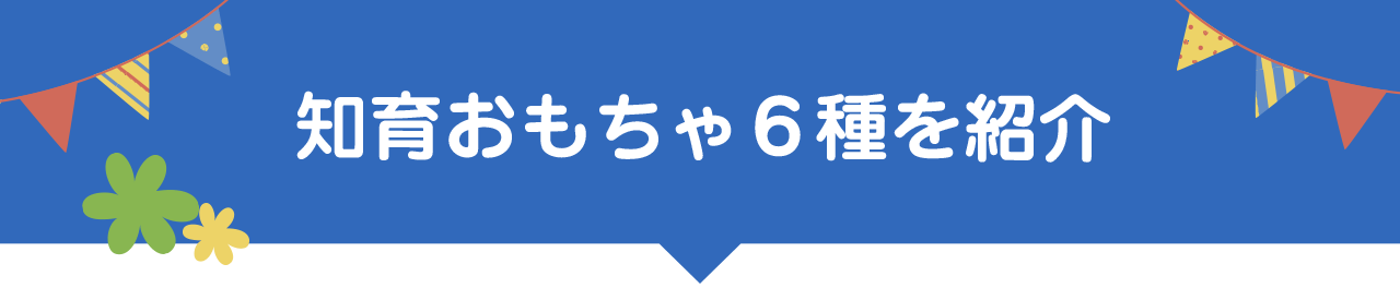 知育おもちゃ6種を紹介