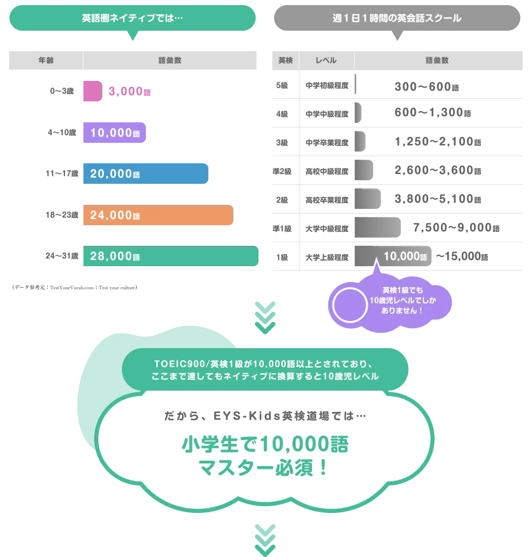 「英語圏ネイティブでは・0~3歳→3000語・4~10歳→10000語・11~17歳→20000語・18~23歳→24000語・24~31歳→28000語」「週1日1時間の英会話スクール:【5級・中学初級程度→300〜600語】・【4級・中学初級程度→600〜1300語】・【3級・中学初級程度→1250〜2100語】・【準2級・高校中級程度→2600〜3600語】・【2級・高校中級程度→3800〜5100語】・【準1級・大学中級程度→7500〜9000語】・【1級・大学中級程度→10000〜15000語】」,TOEIC900/英検1級が10,000語以上とされており、ここまで達してもネイティブに換算すると10歳児レベル・だから、EYS-Kids英検道場では小学生で10,000語マスター必須!
