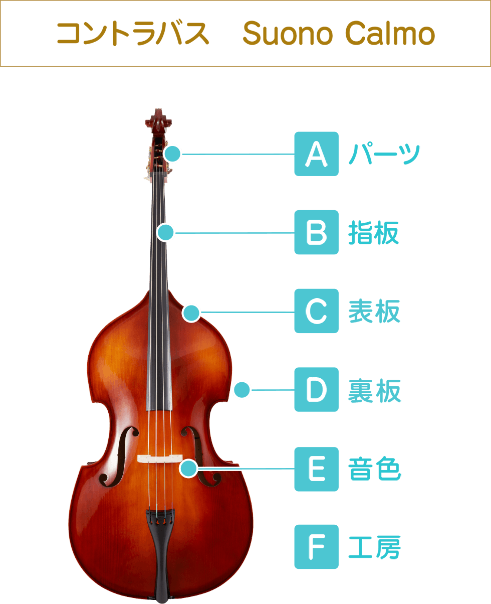 コントラバス Suono Calmo スオノ カルモ Eys Kids 子供向け音楽教室で1人1人に向き合った音楽レッスン