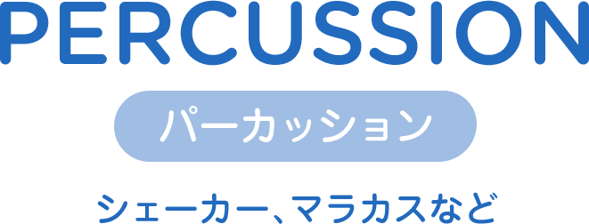 パーカッション シェーカー マラカス percussion